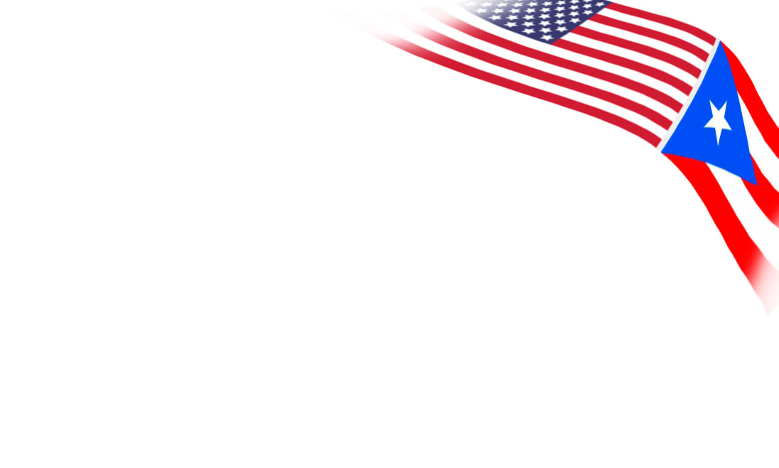 Flag US PUR